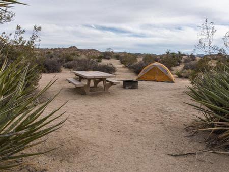 Cottonwood Campground (ca) campground in Joshua Tree National Park, California