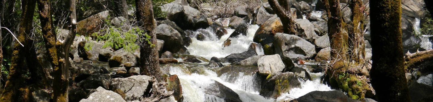 Bridalveil Creek Campground campground in Yosemite National Park, California